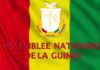Guinée : Adoption par l’Assemblée Nationale des conventions sur la production énergétique et de l’interconnexion avec les pays de l’OMVG