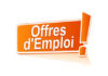 Offres d’emploi : Technicien Support IP Offres d'emploi : Orange Guinée recrute un infographe