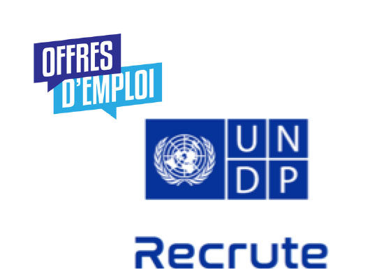 Opportunité : PNUD recrute un consultant national en gestion de Bases de Données