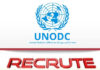 Responsable des systèmes d’information UNODC job