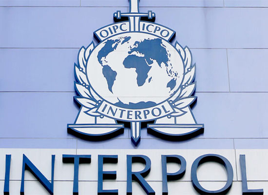 Cybercriminalité : Interpol entreprend la création d'un bureau en Afrique