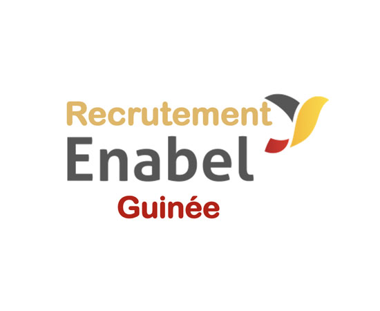 Offres d'emploi : Enabel Guinée recrute un ICT Officer