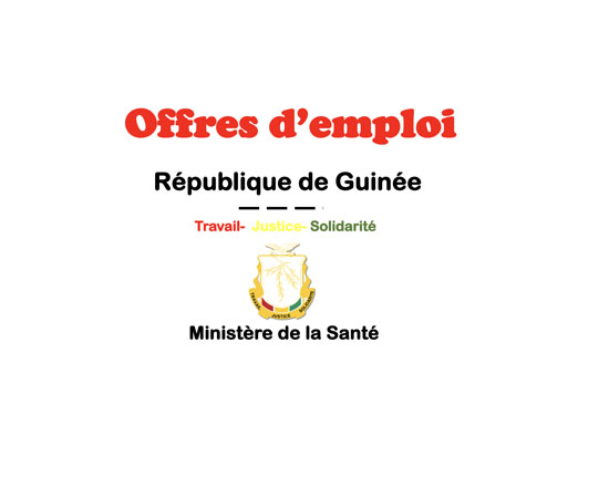 Offres d'emploi : le Ministère de santé de la République de Guinée recrute responsable informatique