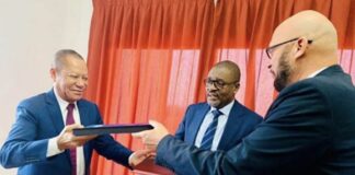 Le Togo et le Gabon  concluent  un accord  sur la suppression des frais du roaming