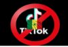 Sénégal : Le gouvernement dévoile les conditions pour la levée de la restriction sur TikTok.