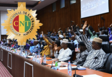 Energie : le Conseil National de la Transition approuve un projet majeur dans le secteur de l’énergie