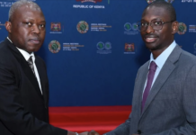 Vers une maîtrise de l’intelligence artificielle en Afrique