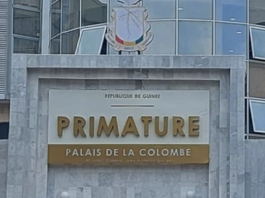 Guinée : le gouvernement dans la dynamique d’une solution définitive pour résoudre la crise énergétique, selon son  porte-parole