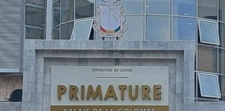 Guinée : le gouvernement dans la dynamique d’une solution définitive pour résoudre la crise énergétique, selon son  porte-parole