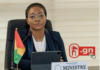 Guinée : annonce du lancement du Nom de Domaine Internet “.GN”