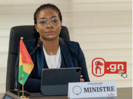 Guinée : annonce du lancement du Nom de Domaine Internet “.GN”