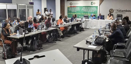 Sécurité régionale : la CEDEAO mise sur l’Intelligence Artificielle et l’alerte précoce contre la criminalité transfrontalière