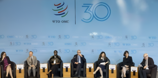 L’OMC et la Banque mondiale accélèrent le commerce numérique avec le projet Digital Trade for Africa