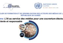 Guinée : l’AGUIPEL et les Nations Unies forment 50 journalistes à l’usage de l’IA pour une couverture électorale efficiente et responsable.