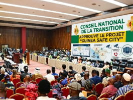 Guinée : le Conseil national de la transition approuve le projet « Guinea Safe City »