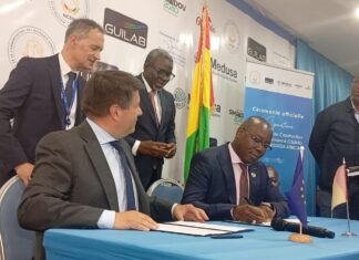 MEDUSA AFRICA : la République de Guinée renforce sa connectivité numérique